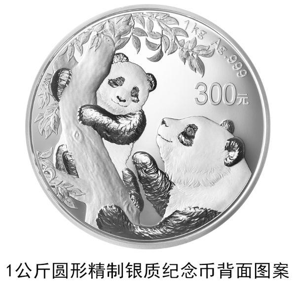 12枚2021版熊猫金银纪念币全套图片,规格,面额以及发行数量_生活资讯