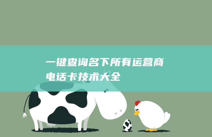 一键查询名下所有运营商电话卡-技术大全