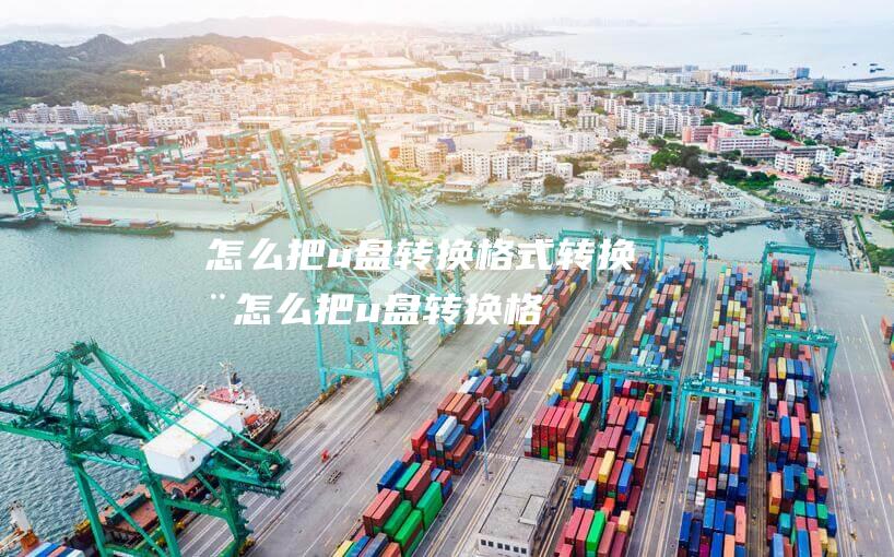 怎么把u盘转换格式转换器-(怎么把u盘转换格式转换器打开)
