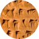阿卡德