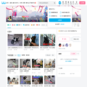 阿尔法是只边牧的个人空间