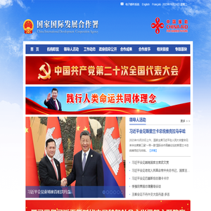 国家国际发展合作署