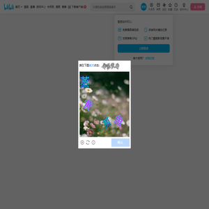 大树哥bigtreebro的个人空间