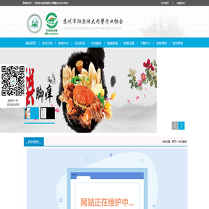 防伪查询
