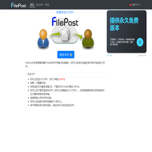 大文件传输服务