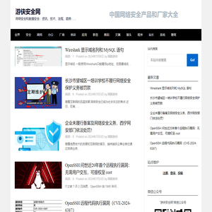 游侠安全网