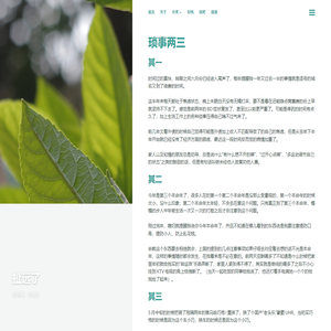 扯远了