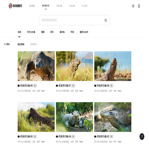 影视飓风