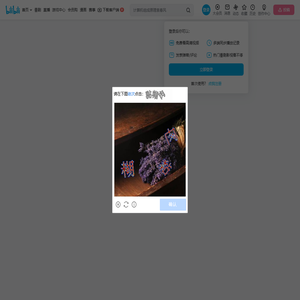我是YOLO的个人空间