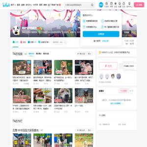 拯救中华田园犬的个人空间