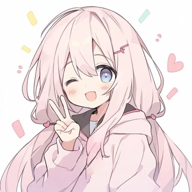 必6网