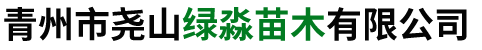 侧柏系列和黄栌系列以及火炬系列厂家