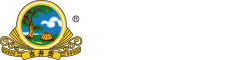 防伪查询