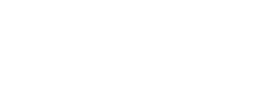 首页秒收录