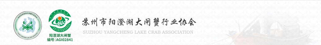 防伪查询